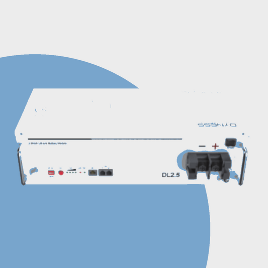 Dyness DL2.5 - 25.6V 100Ah 2.56 kW Litium Ion Battery