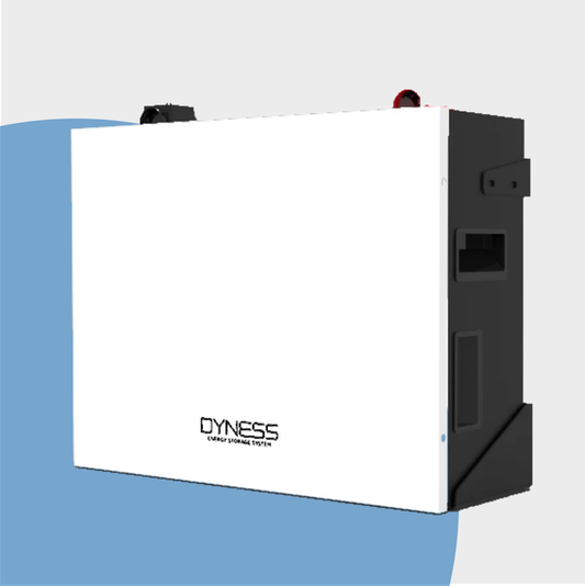 Dyness 4.8kWh Lithium Battery BX48100
