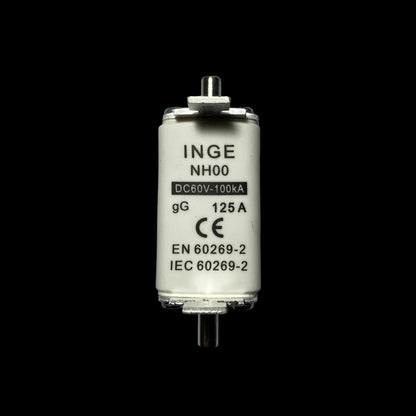 An INGE NH00 DC60V-100kA gG 125A electrical contactor or relay component, shown vertically against a neutral gray background.